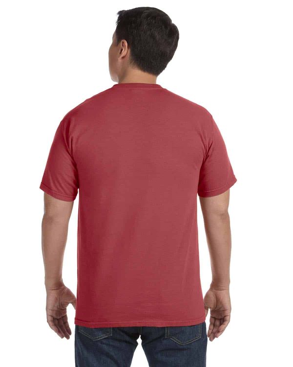 Comfort Colors Adult Heavyweight RS T-Shirt Brick Back